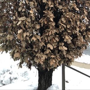 Meet your Posher, Derricka